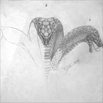 crayons de couleur patrick rogelet  l'échiquier du destin