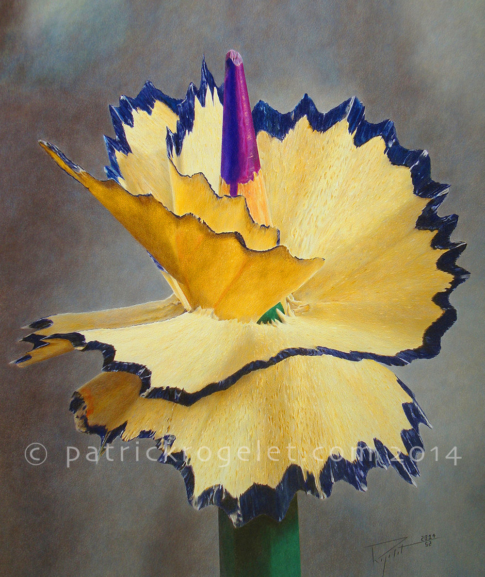 crayons de couleur patrick rogelet je suis charlie