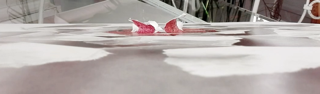 crayons de couleur patrick rogelet seconde tentative