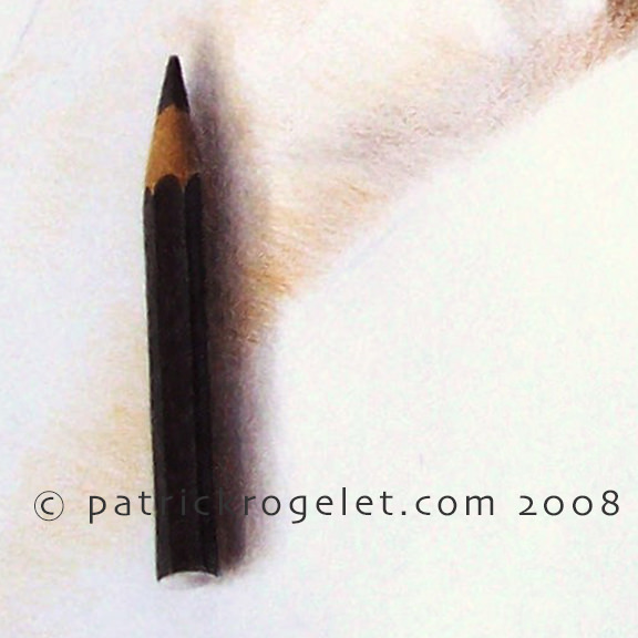 crayons de couleur patrick rogelet autoportrait crayon