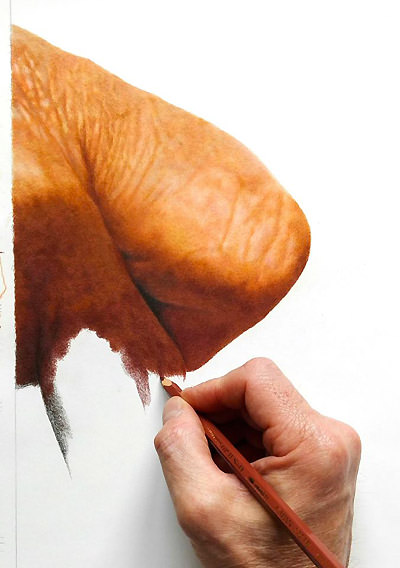 crayons de couleur patrick rogelet I am not another brick in the wall