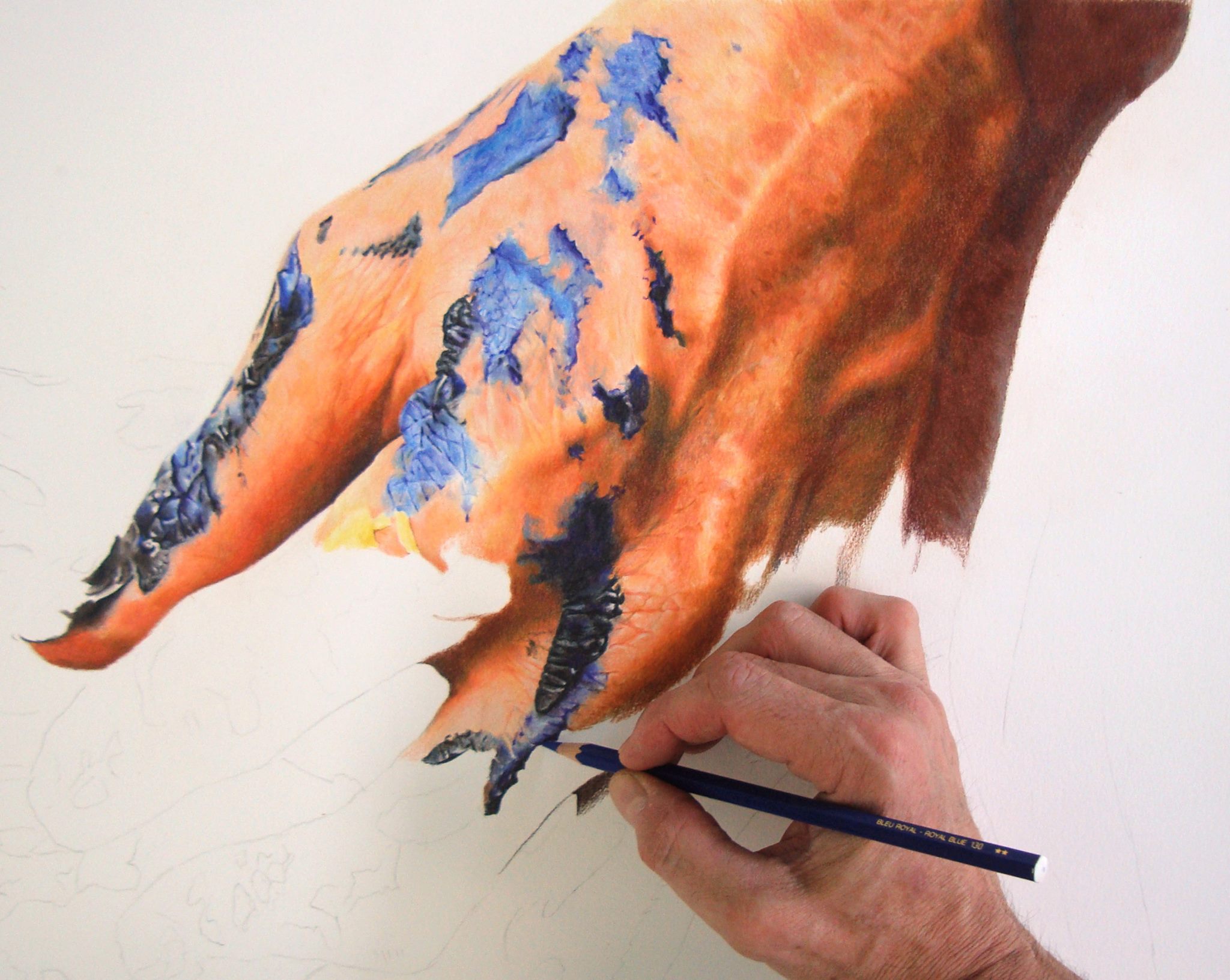 crayons de couleur patrick rogelet duel