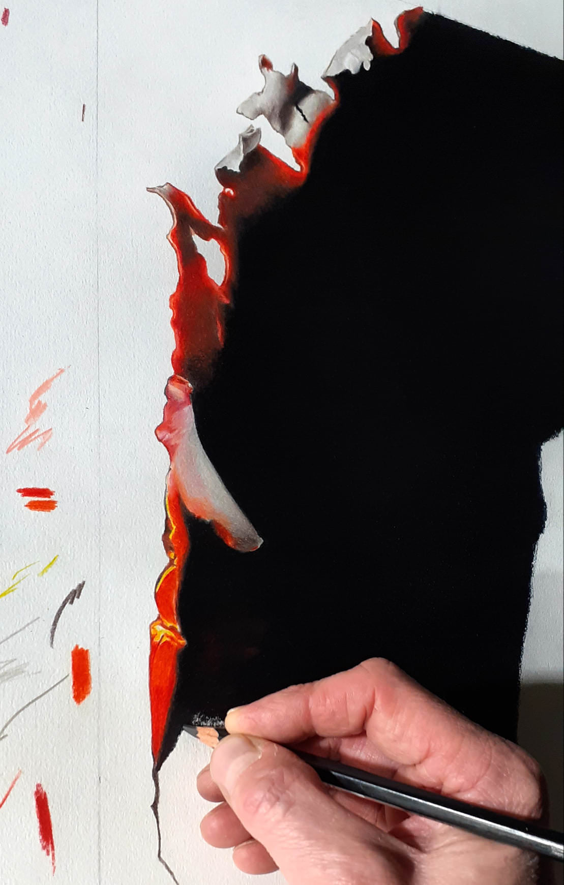 crayons de couleur patrick rogelet notre dame