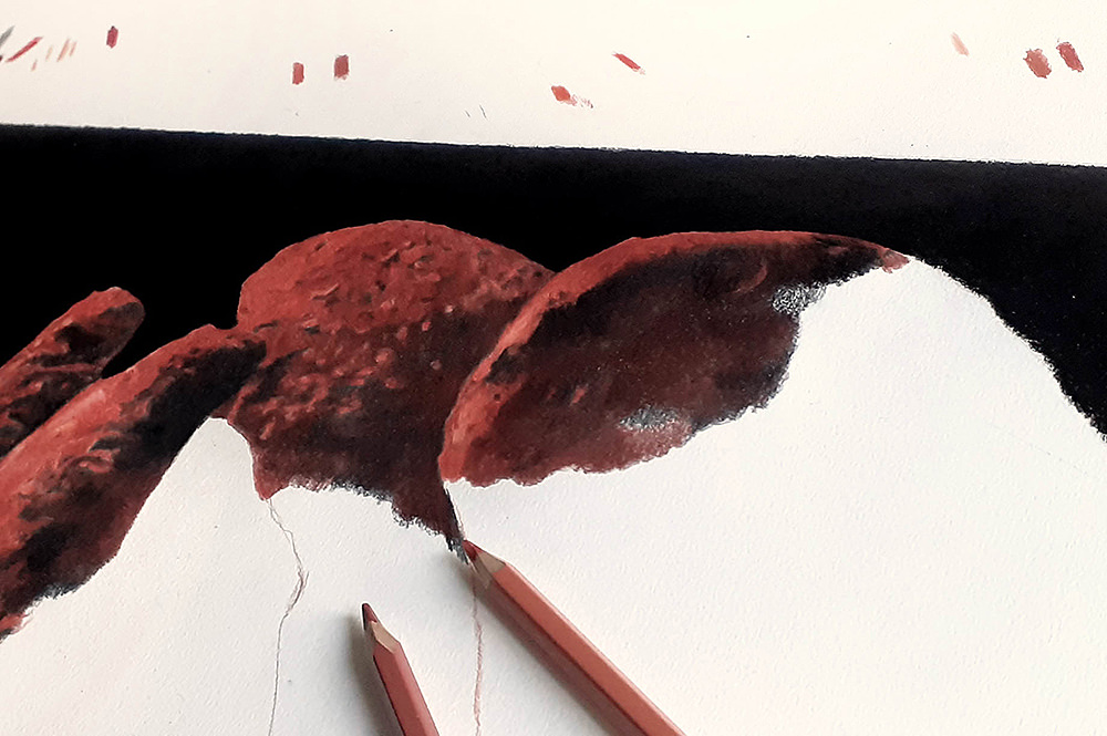 crayons de couleur patrick rogelet notre dame