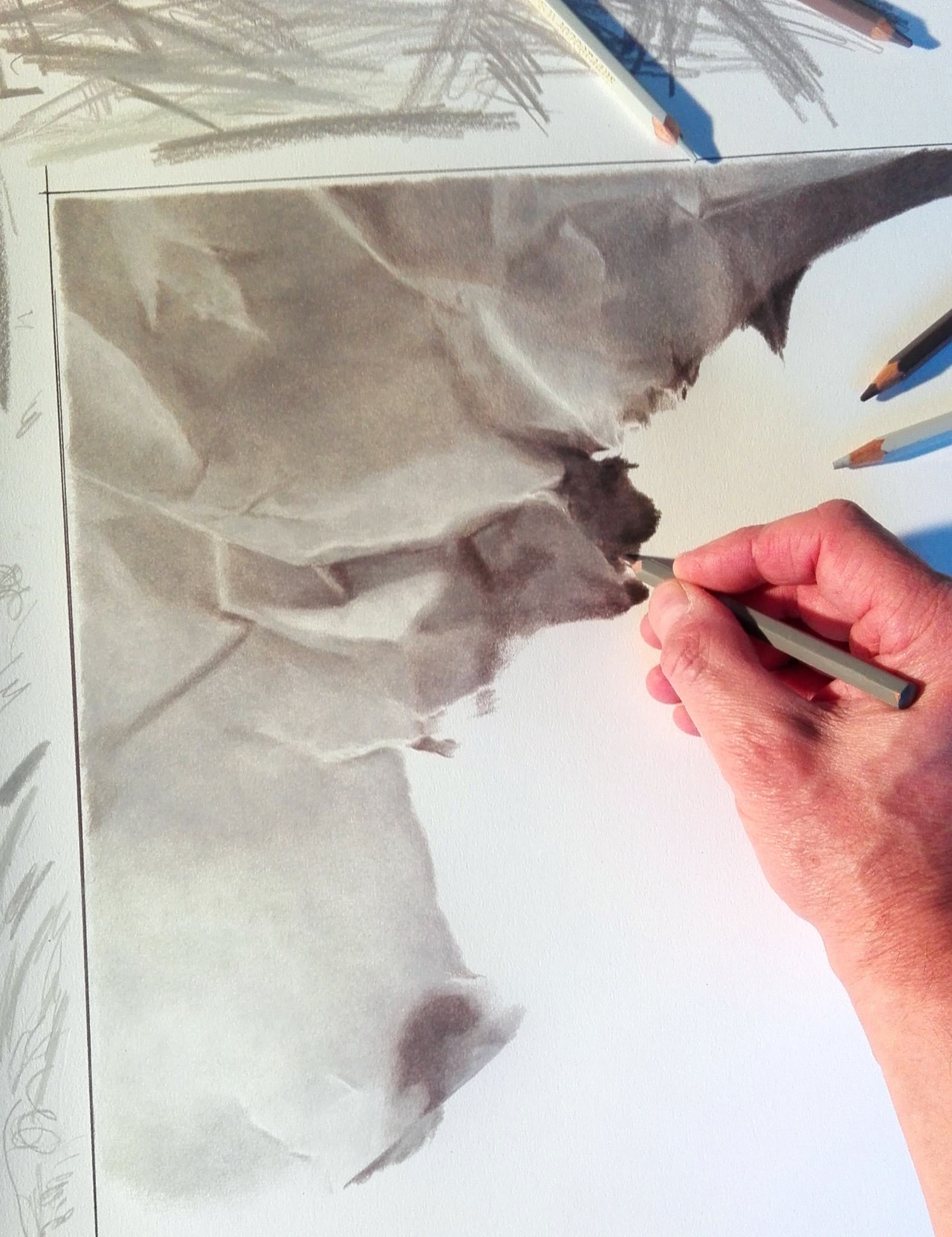 crayons de couleur patrick rogelet pablo