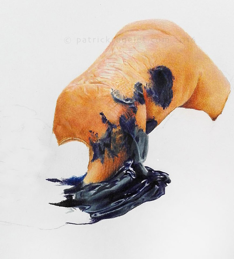 crayons de couleur patrick rogelet tentation