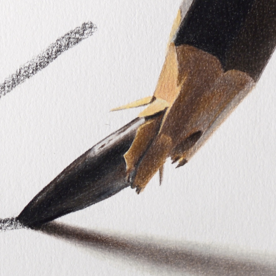 crayons de couleur patrick rogelet the end