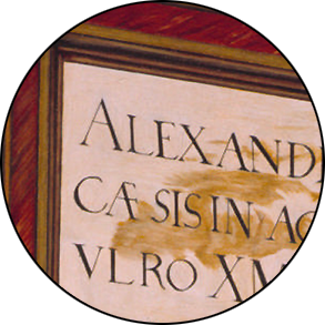 patrick rogelet différentes techniques la bataille d'alexandre