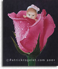 "Premi&egrave;re naissance" d'apr&egrave;s Anne Geddes