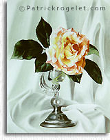 "Rose"
