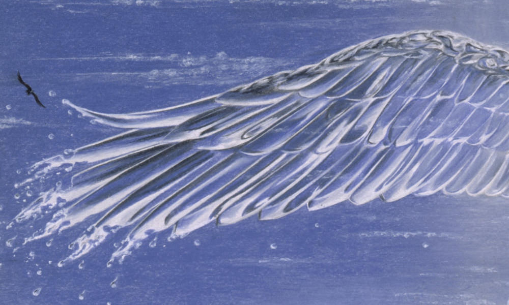 patrick rogelet crayons de couleur les deux mondes