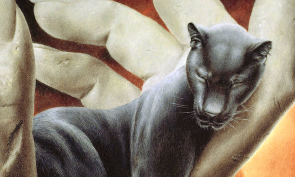 patrick rogelet crayons de couleur main divine